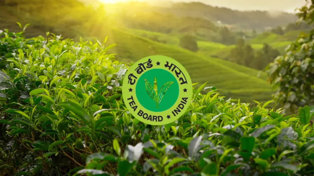 Tea Board of India