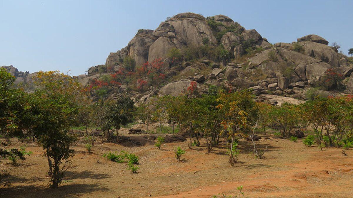 The Singhbhum Craton in Jharkhand preserves some of India's oldest geological rocks.