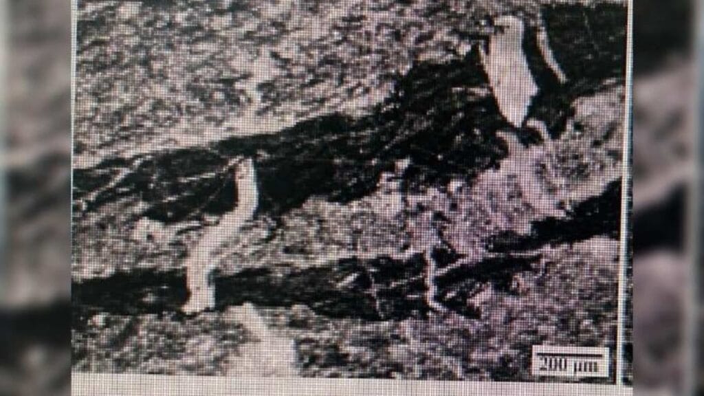 oldest-evidence-of-life-on-earth-india-bhitardari